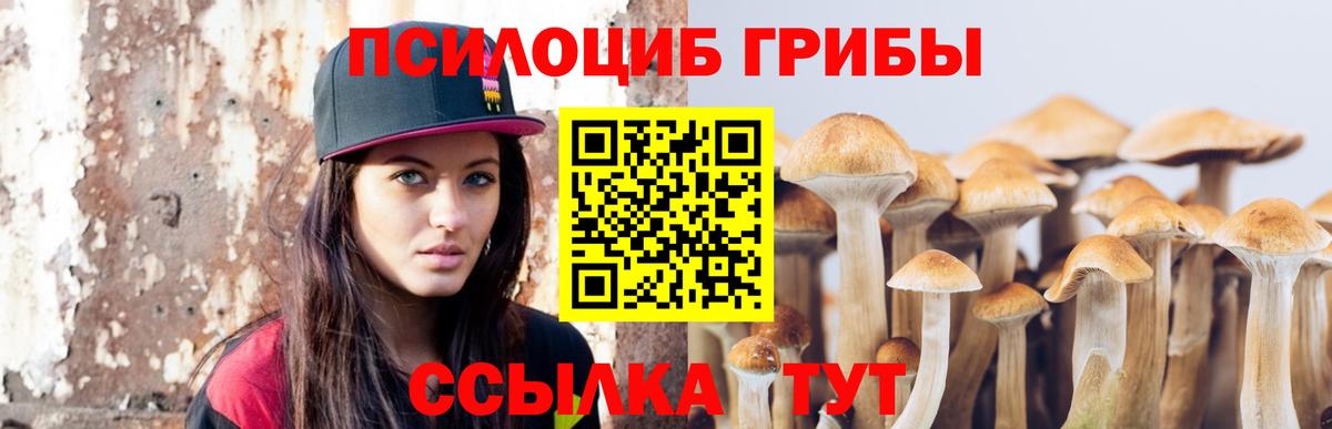 Мытищи  Псилоцибиновые грибы Psilocybine cubensis  Галлюциногенные грибы Cubensis  как найти закладки  Вход с VPN 
